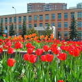 Управа Солнцево, май 2005